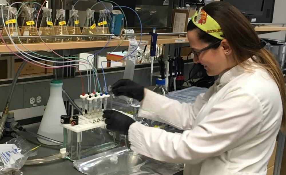 Gökçe Kor Bıçakcı Avrupa Birliği projesi ile kirletici maddelerin giderimi araştırmasını Kanada'ya taşıyor